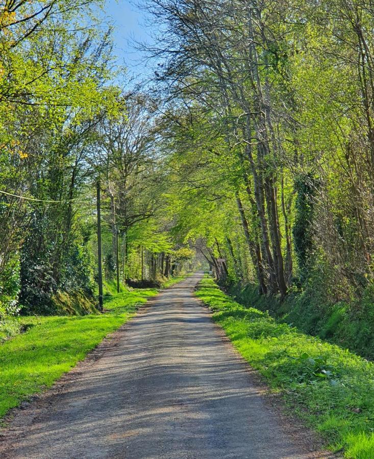 Le Clos Joly 14 Saint-Gâtien-des-Bois Екстериор снимка